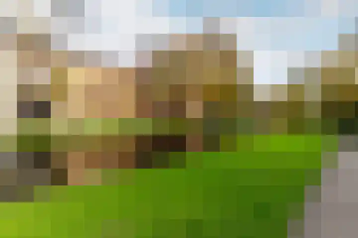 Noordsingel 117 U Rotterdam thumbnail 30