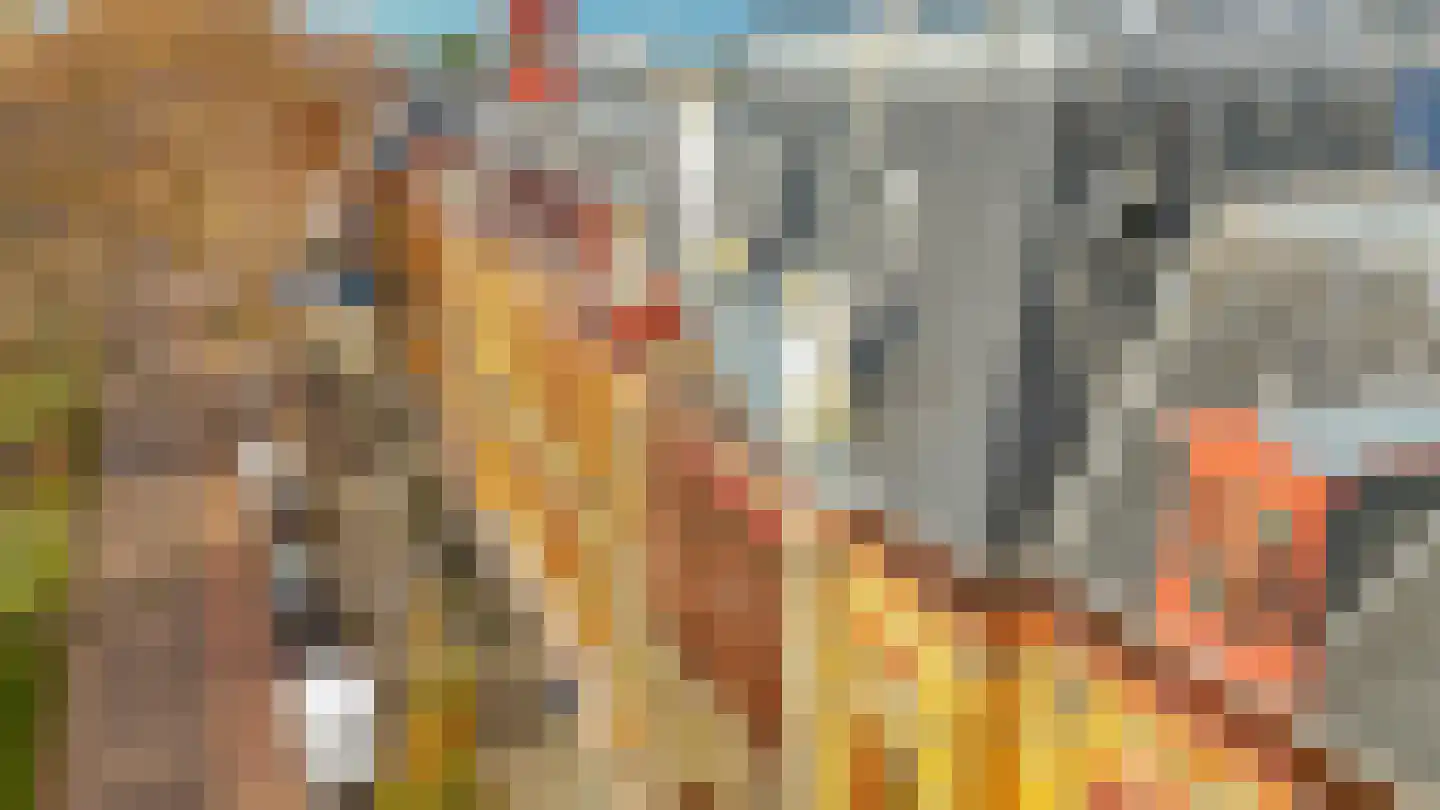 Noordsingel 117 U Rotterdam thumbnail 33