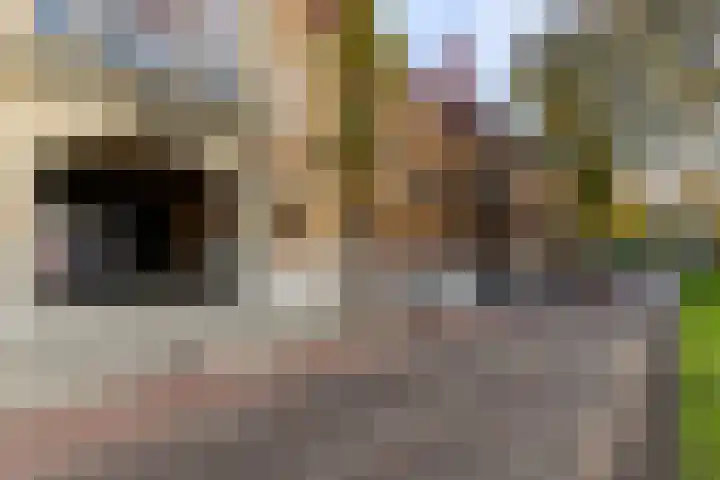 Noordsingel 117 U Rotterdam thumbnail 37