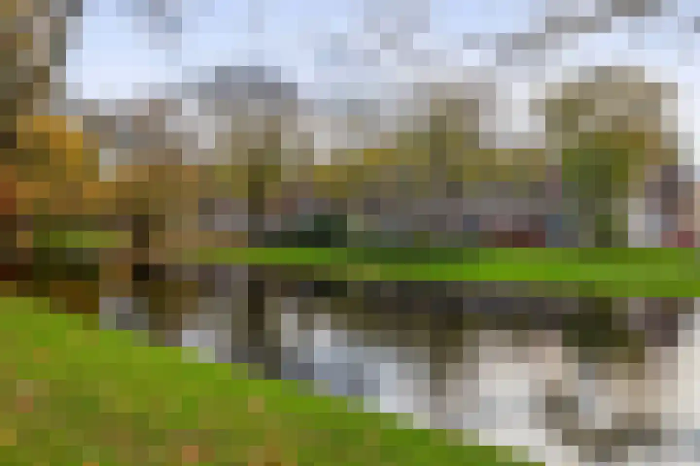 Noordsingel 117 W Rotterdam thumbnail 5