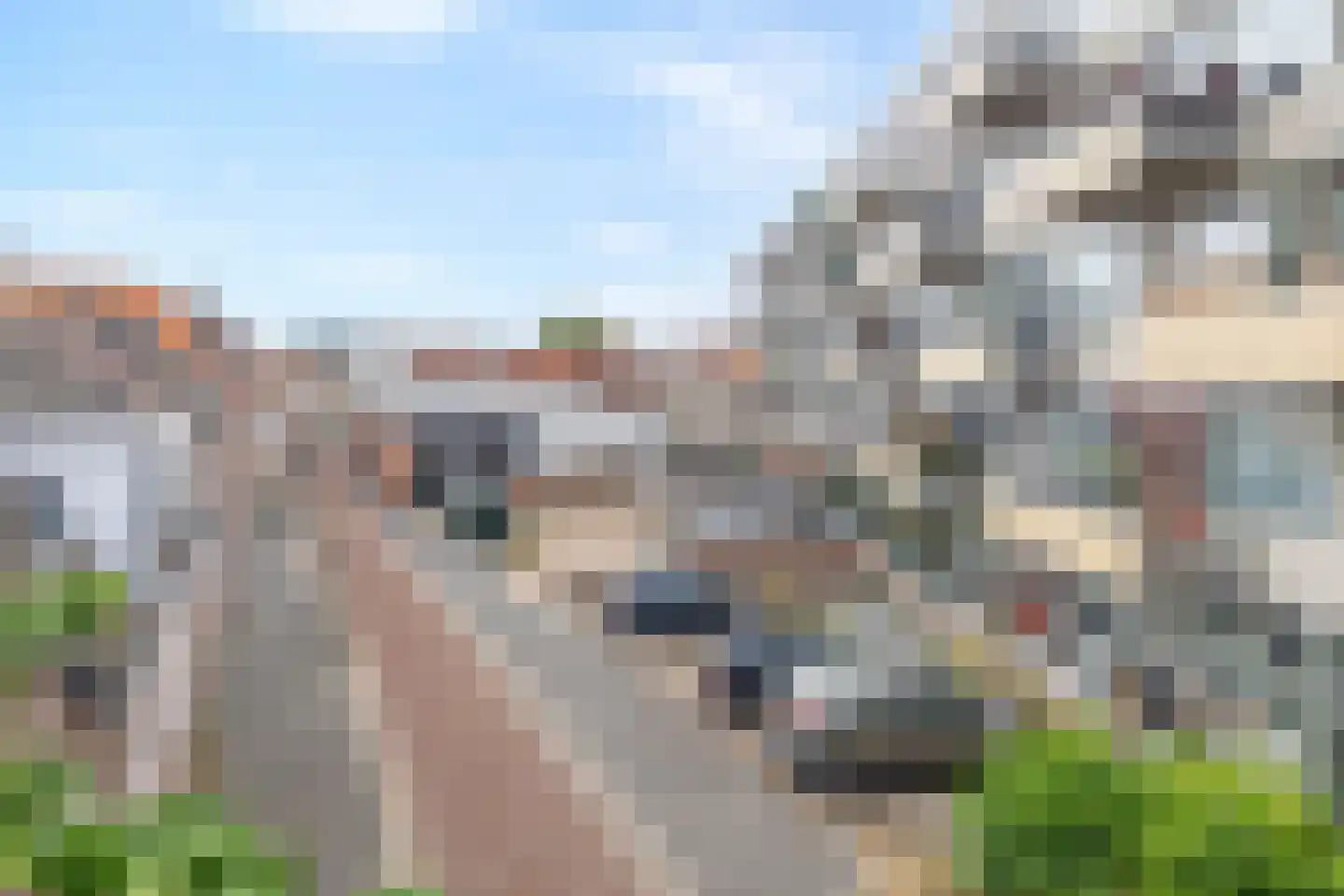 Noordsingel 122 Bergen op Zoom thumbnail 30