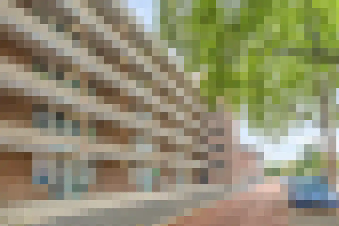 Noordsingel 122 Bergen op Zoom thumbnail 34