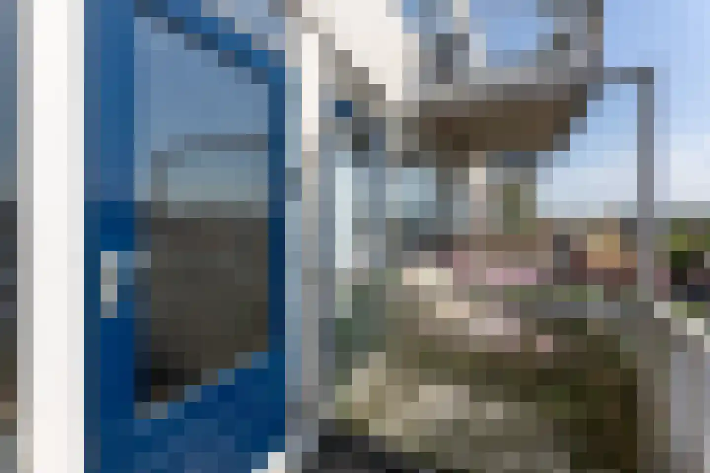 Noordsingel 126 Bergen op Zoom thumbnail 11