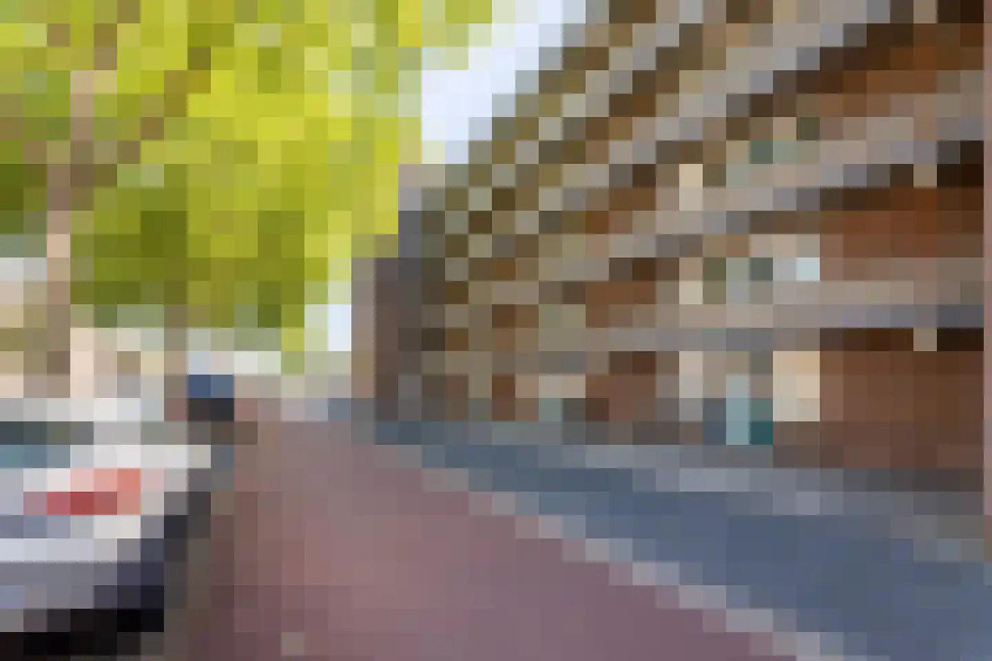 Noordsingel 126 Bergen op Zoom thumbnail 27