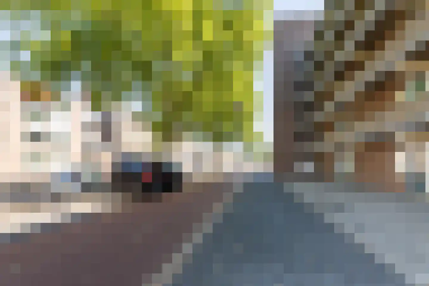 Noordsingel 126 Bergen op Zoom thumbnail 29