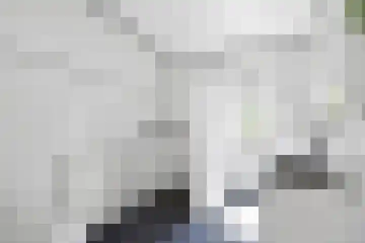 Noordsingel 13 Horst thumbnail 28