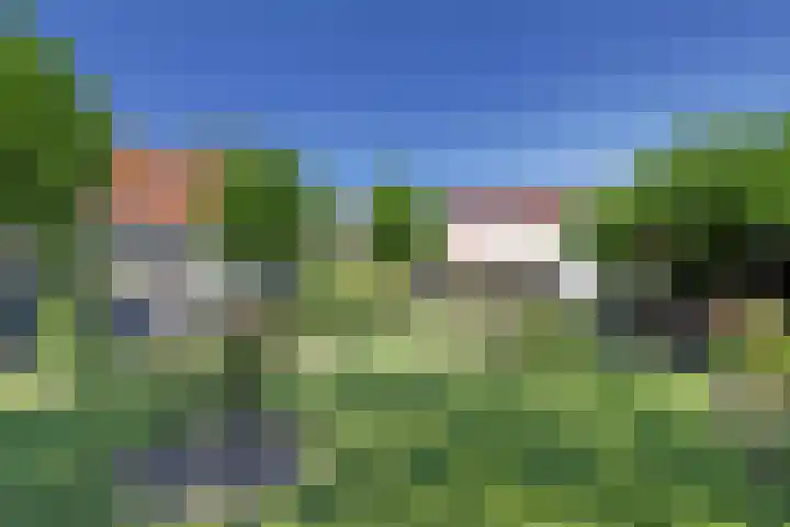 Noordsingel 13 Horst thumbnail 4