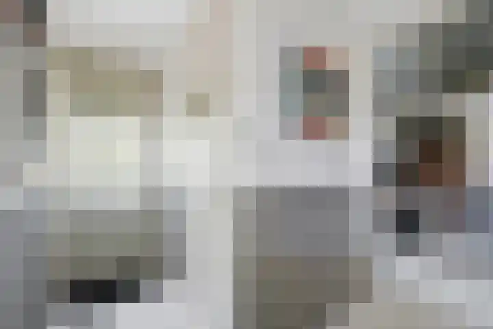 Noordsingel 13 Horst thumbnail 40