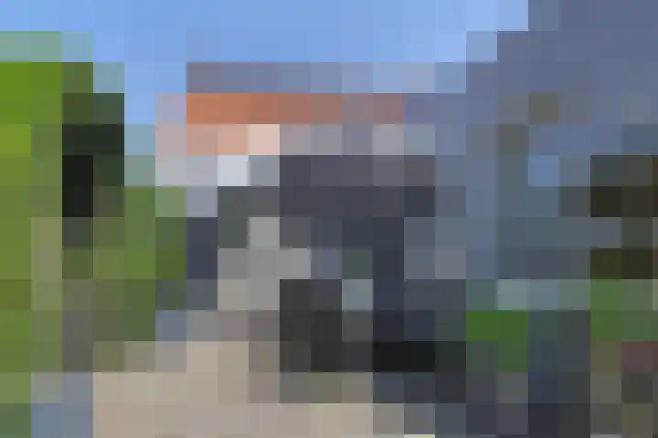 Noordsingel 13 Horst thumbnail 50