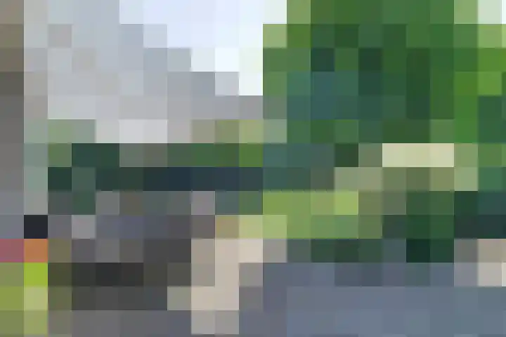 Noordsingel 13 Horst thumbnail 51