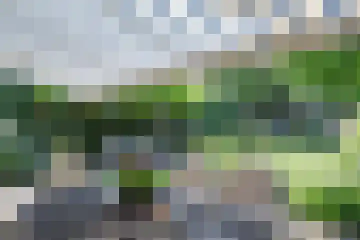Noordsingel 13 Horst thumbnail 52