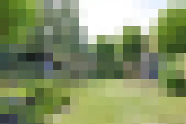 Noordsingel 13 Horst thumbnail 55