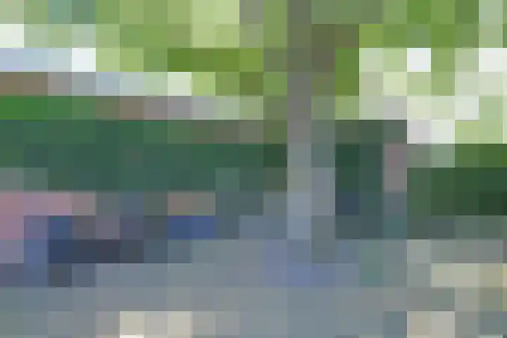 Noordsingel 13 Horst thumbnail 56