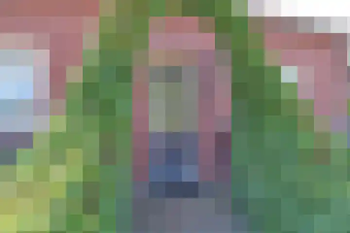 Noordsingel 13 Horst thumbnail 7