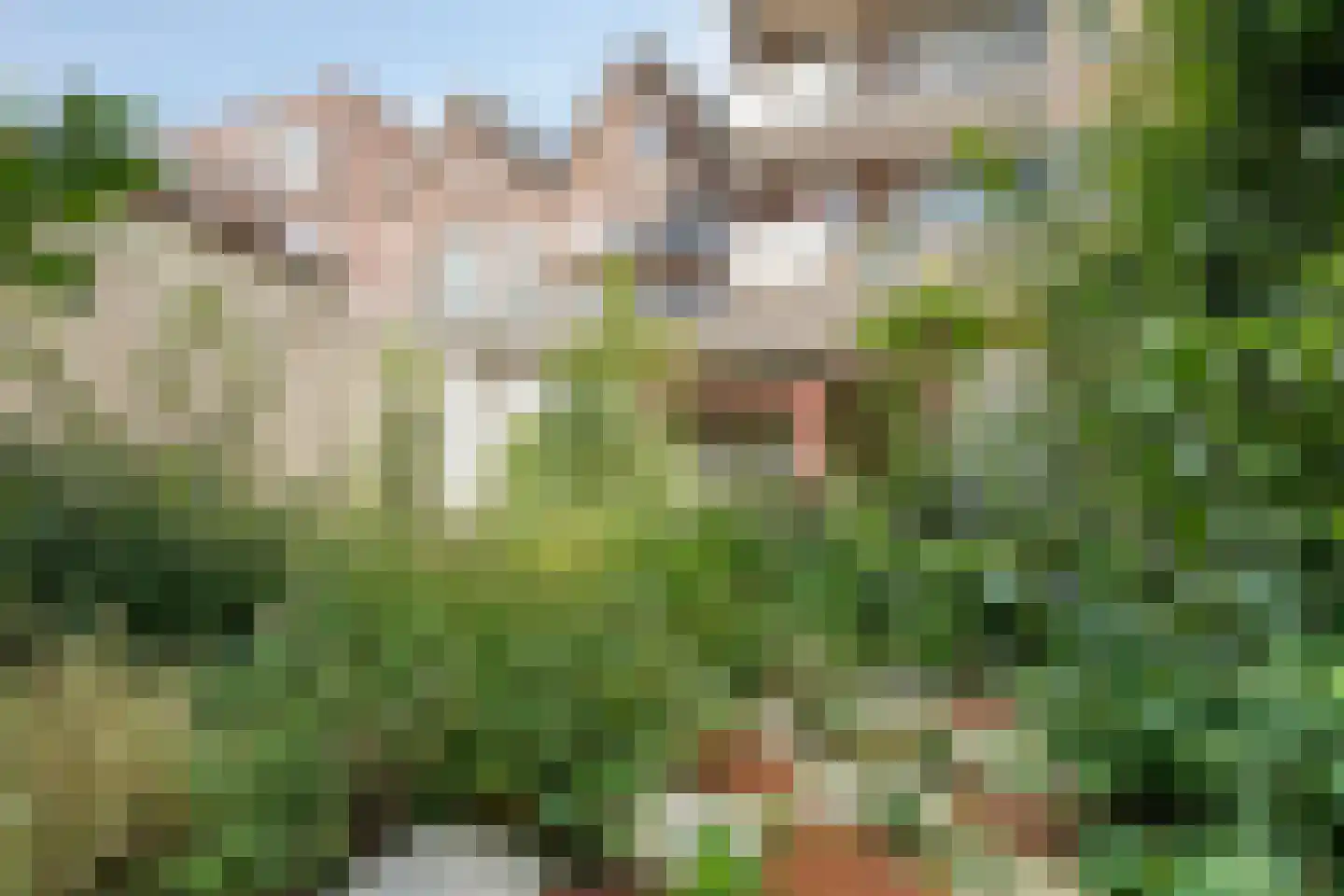 Noordsingel 139 Rotterdam thumbnail 17