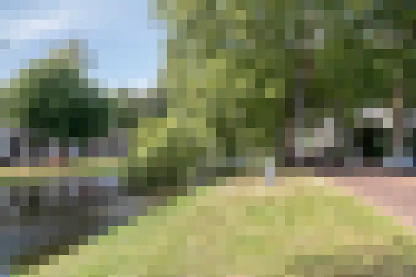Noordsingel 139 Rotterdam thumbnail 30