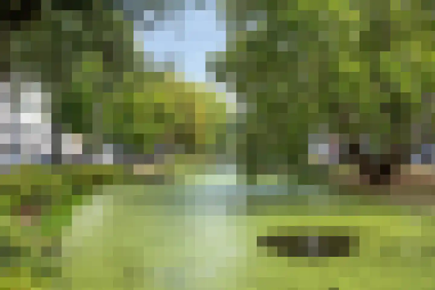 Noordsingel 139 Rotterdam thumbnail 31