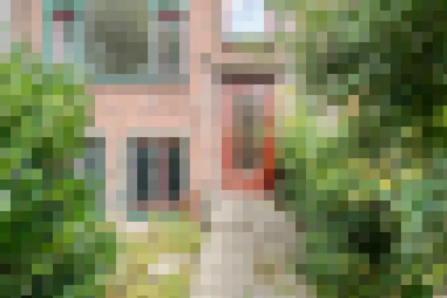 Noordsingel 139 Rotterdam thumbnail 5