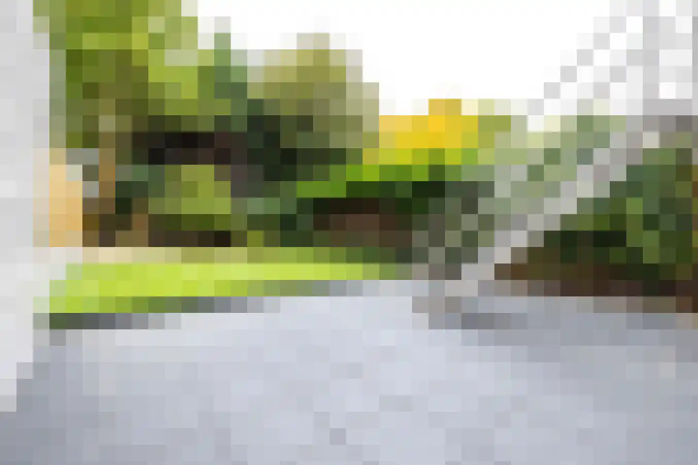 Noordsingel 140 B Rotterdam thumbnail 15