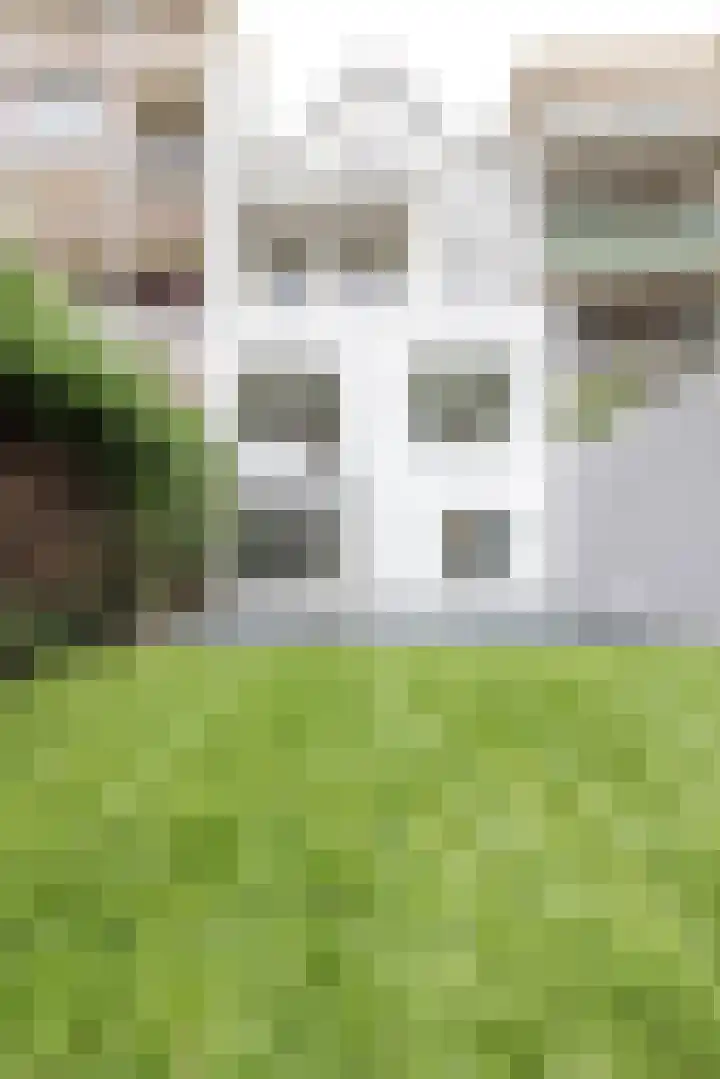 Noordsingel 140 B Rotterdam thumbnail 34