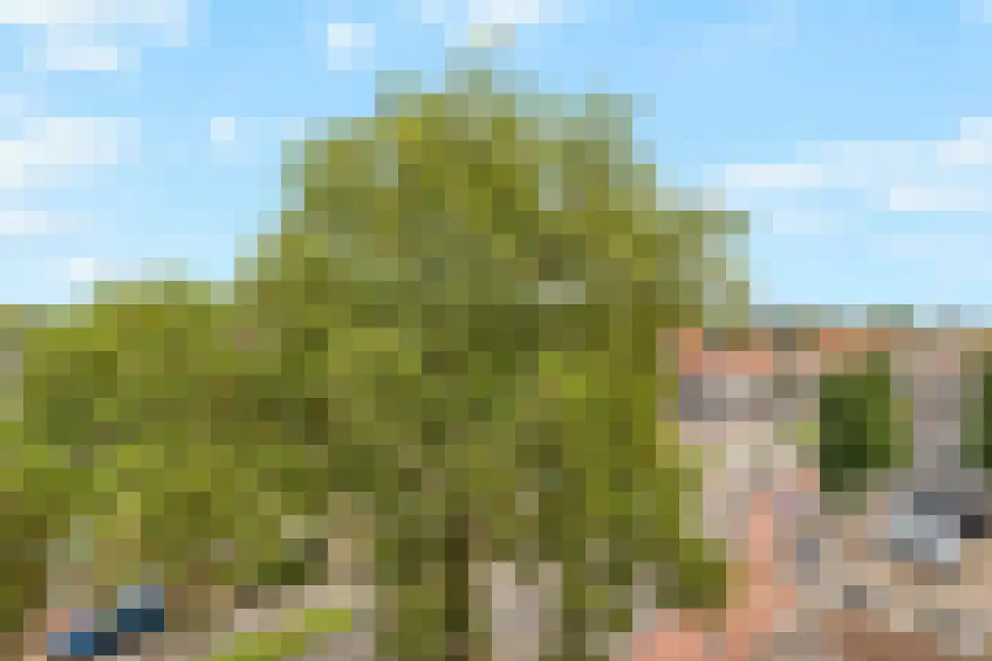 Noordsingel 142 Bergen op Zoom thumbnail 32