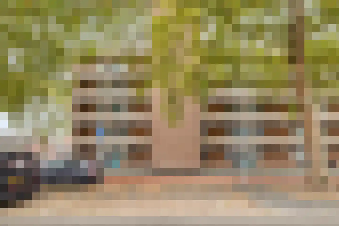 Noordsingel 142 Bergen op Zoom thumbnail 34