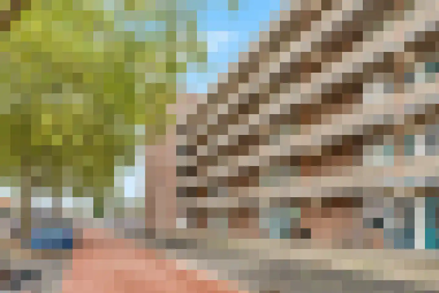Noordsingel 142 Bergen op Zoom thumbnail 37