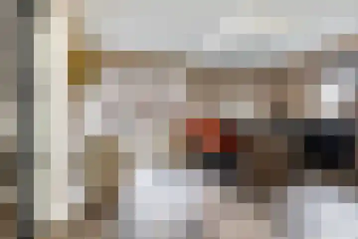 Noordsingel 146 Wezep thumbnail 12