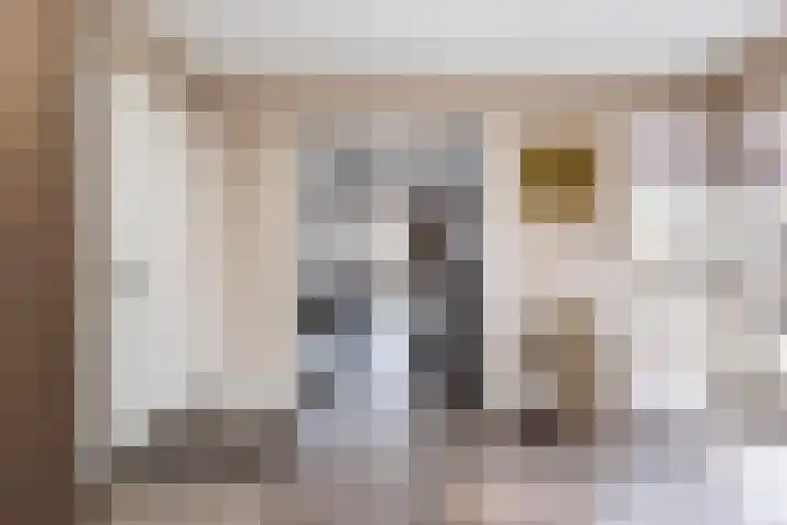 Noordsingel 146 Wezep thumbnail 16