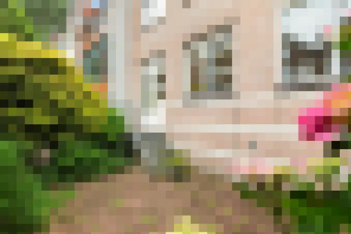 Noordsingel 147 A Rotterdam thumbnail 33