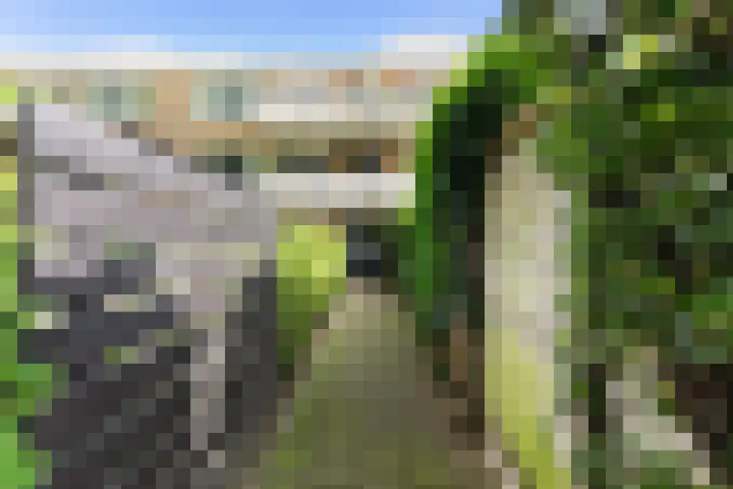 Noordsingel 147 A Rotterdam thumbnail 34