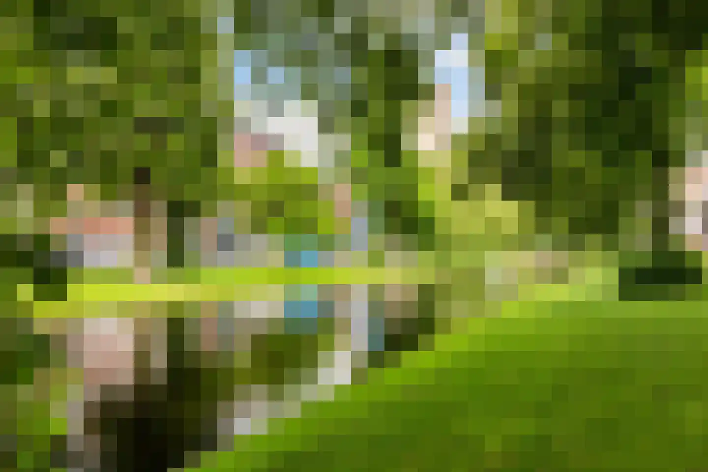 Noordsingel 147 A Rotterdam thumbnail 35