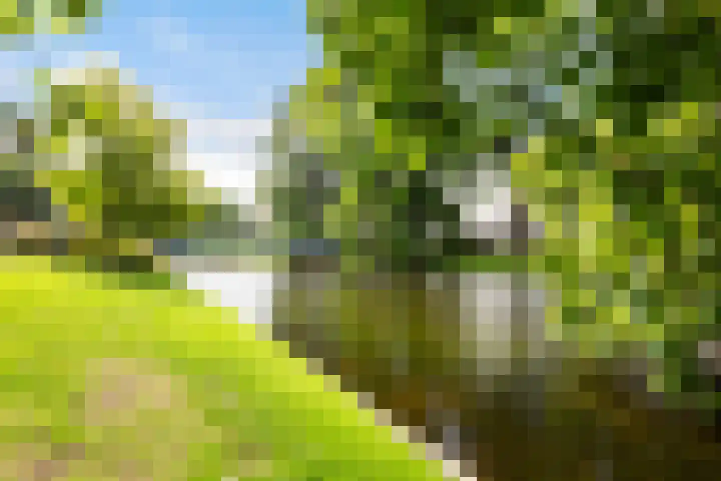 Noordsingel 147 A Rotterdam thumbnail 36