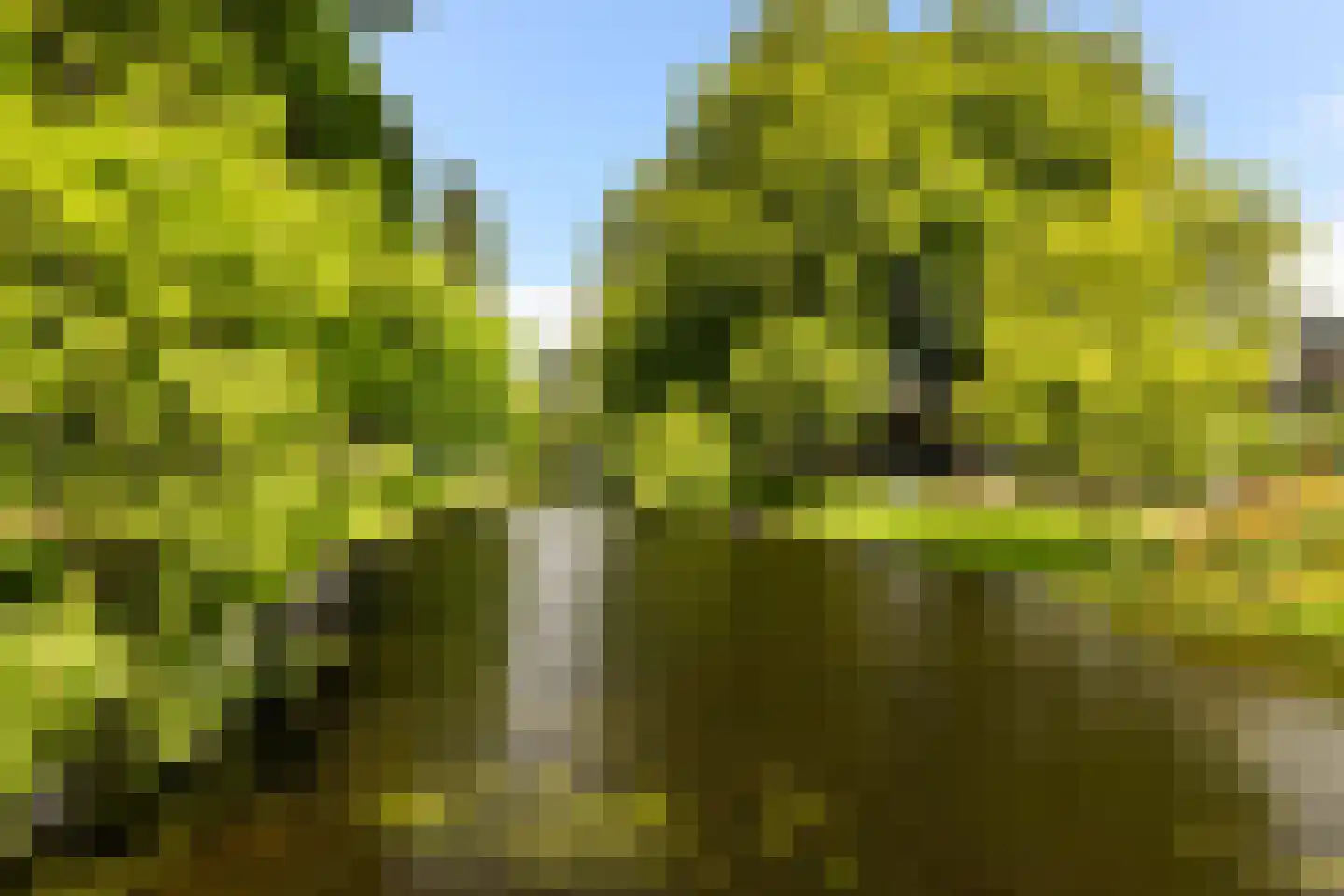 Noordsingel 147 A Rotterdam thumbnail 37