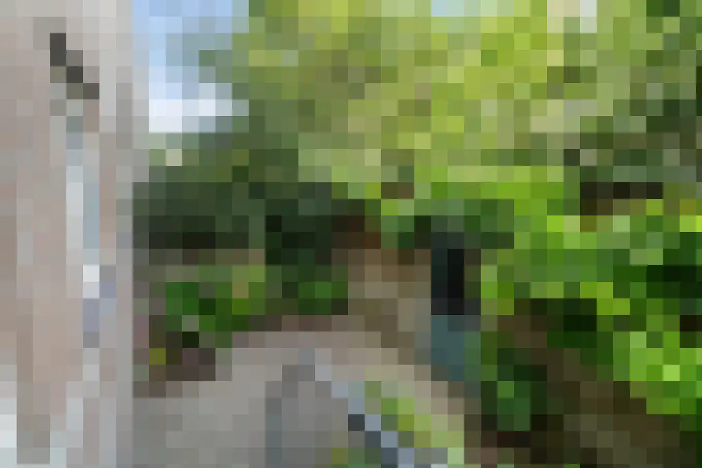 Noordsingel 151 A Rotterdam thumbnail 16