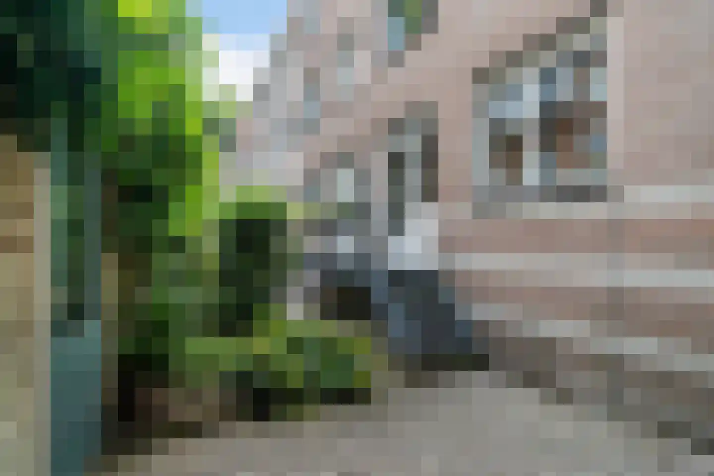 Noordsingel 151 A Rotterdam thumbnail 18