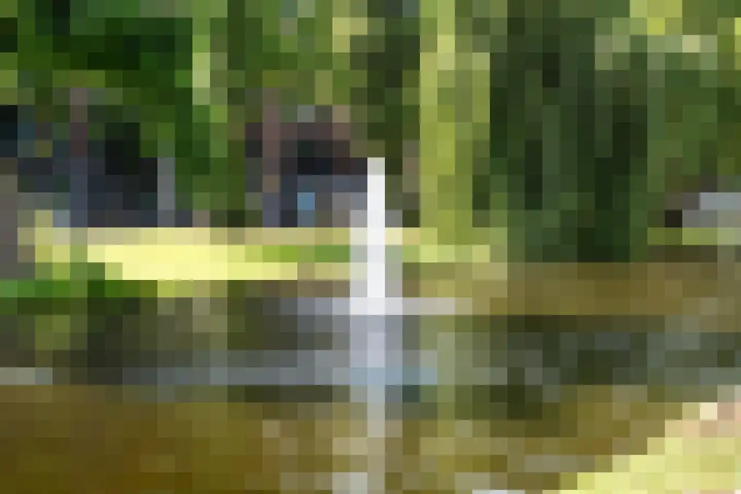 Noordsingel 151 A Rotterdam thumbnail 28