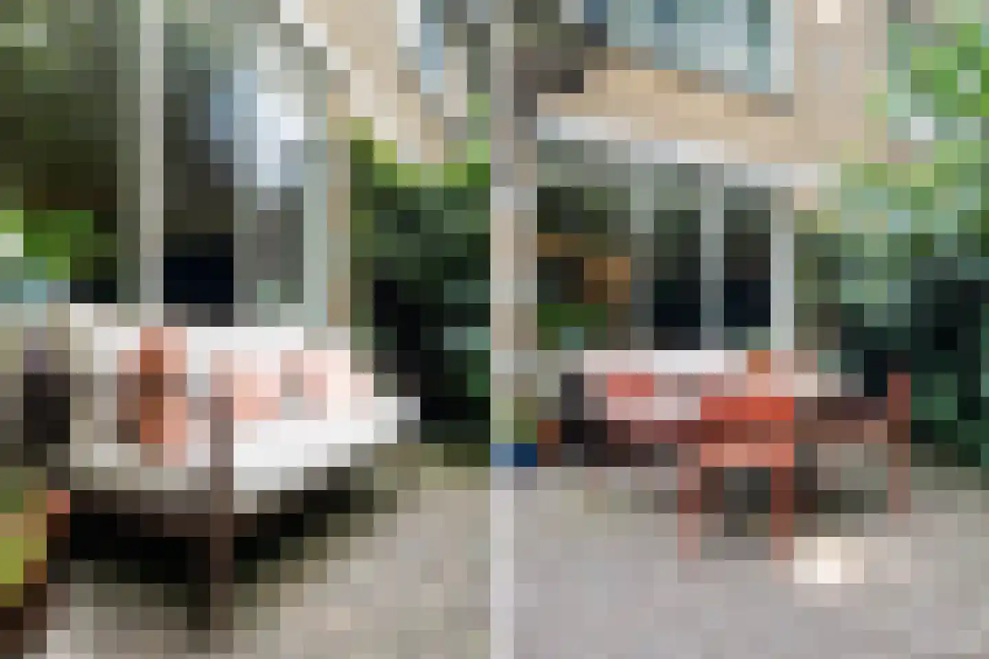Noordsingel 151 A Rotterdam thumbnail 8