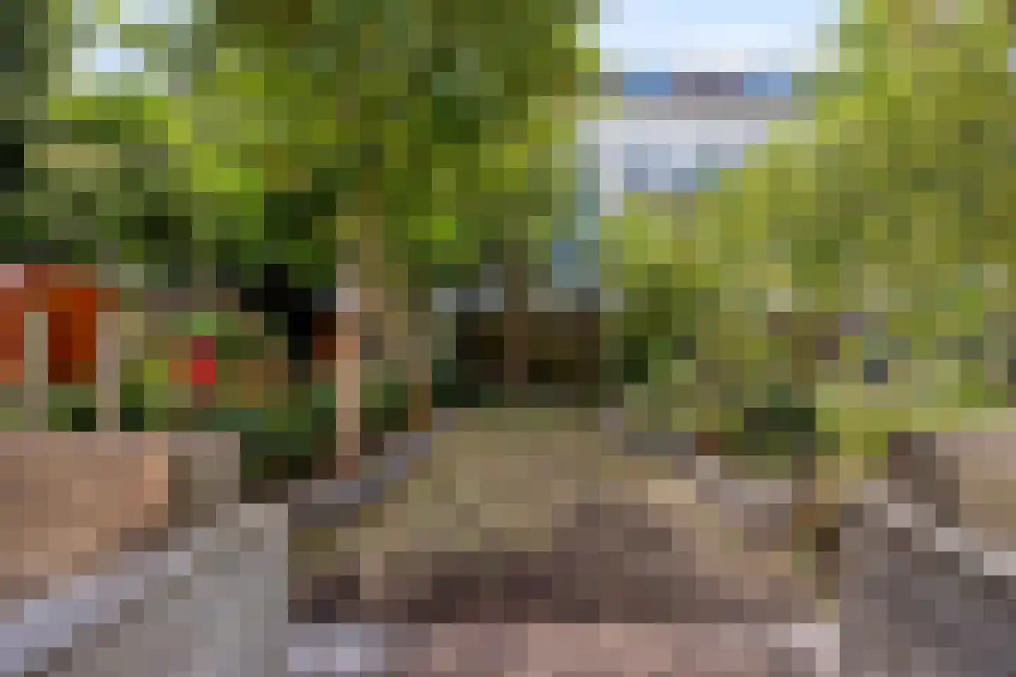 Noordsingel 154 B Rotterdam thumbnail 22