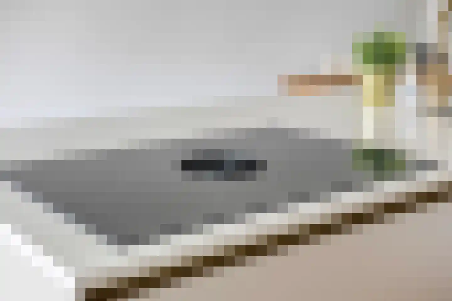 Noordsingel 154 C Rotterdam thumbnail 16
