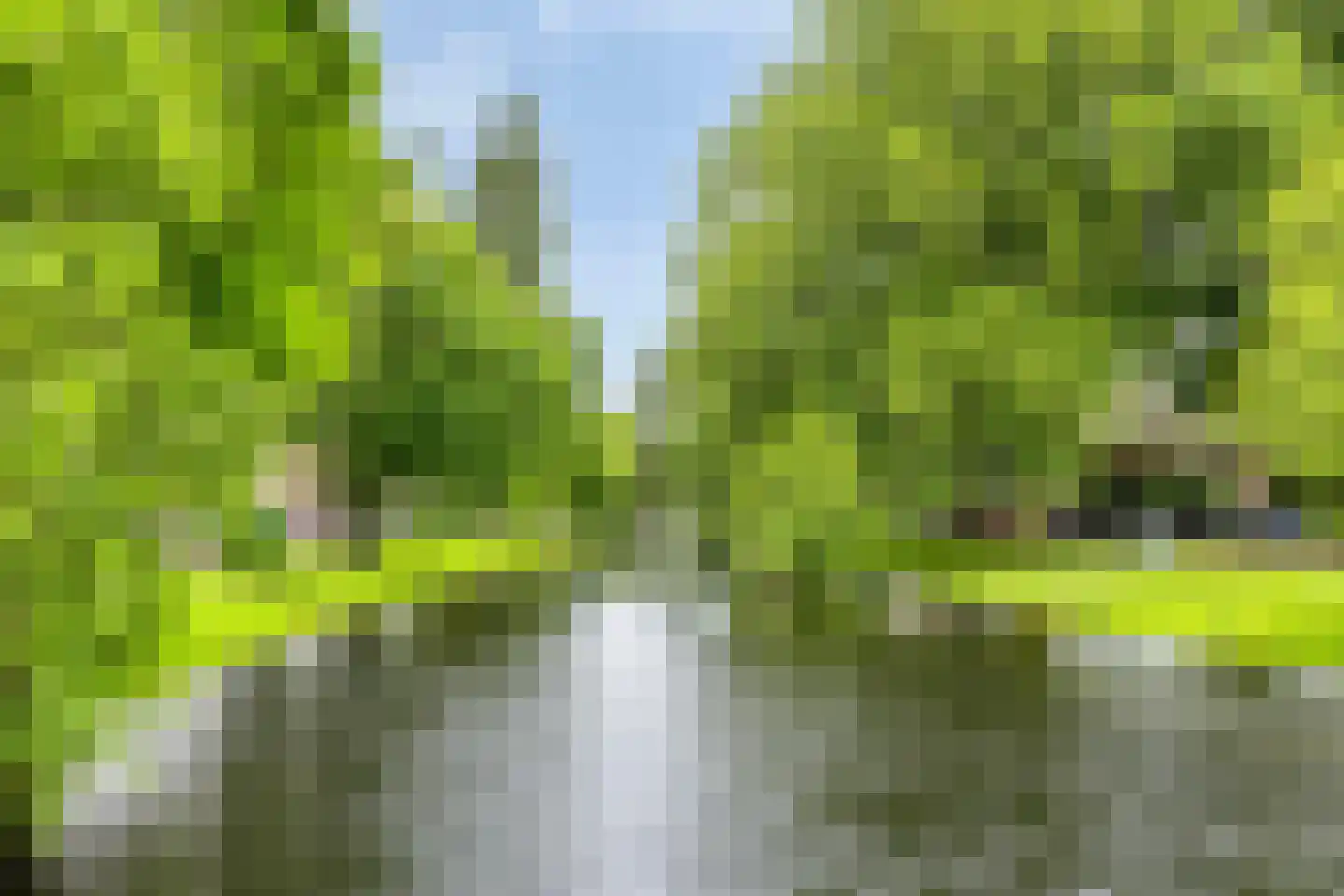 Noordsingel 154 C Rotterdam thumbnail 42