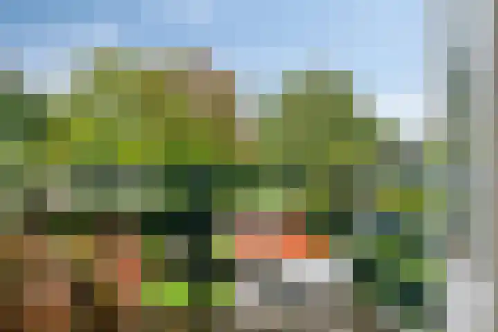 Noordsingel 154 Middelburg thumbnail 22