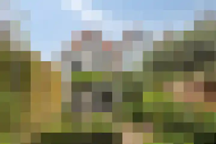 Noordsingel 154 Middelburg thumbnail 32