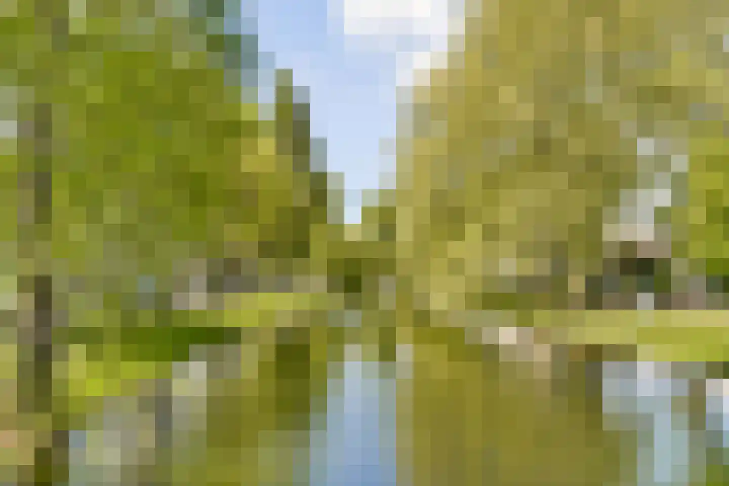Noordsingel 157 A Rotterdam thumbnail 26