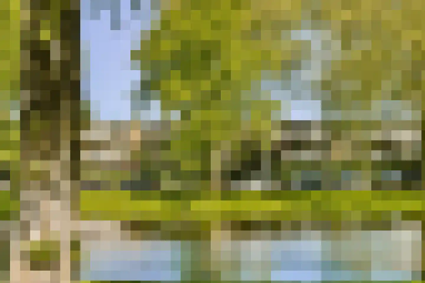 Noordsingel 157 A Rotterdam thumbnail 4