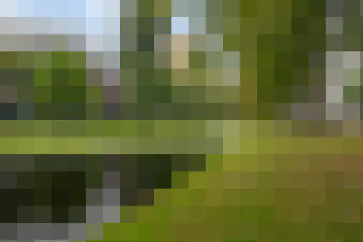 Noordsingel 159 C Rotterdam thumbnail 31