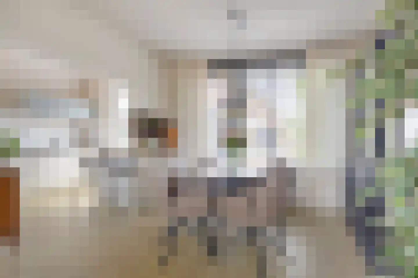 Noordsingel 18 Venray thumbnail 12