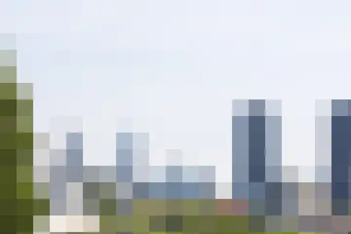 Noordsingel 185 C Rotterdam thumbnail 25