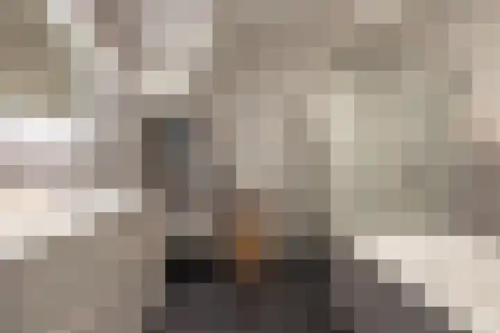 Noordsingel 185 C Rotterdam thumbnail 33
