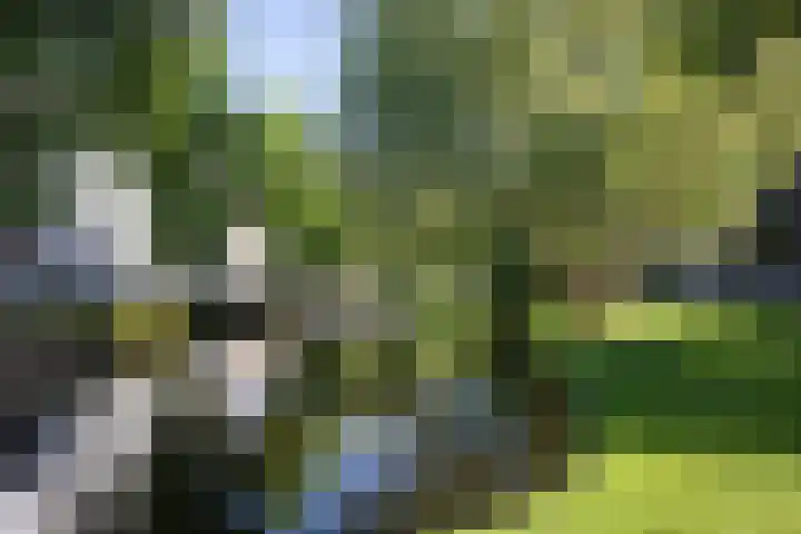 Noordsingel 185 C Rotterdam thumbnail 49